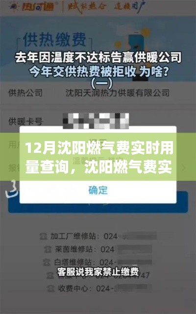 沈陽(yáng)燃?xì)赓M(fèi)實(shí)時(shí)用量查詢，便捷與爭(zhēng)議的平衡點(diǎn)