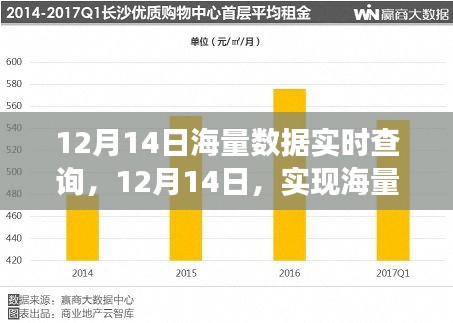揭秘，如何在12月14日實(shí)現(xiàn)海量數(shù)據(jù)實(shí)時(shí)查詢的高效秘訣
