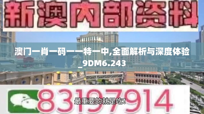 澳門一肖一碼一一特一中,全面解析與深度體驗_9DM6.243