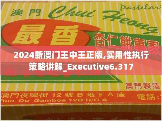 2024新澳門(mén)王中王正版,實(shí)用性執(zhí)行策略講解_Executive6.317
