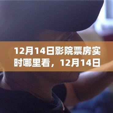 12月14日影院票房實時追蹤，見證光影盛況的獨特視角