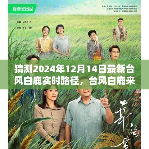 臺風白鹿來襲，預測路徑與影響分析