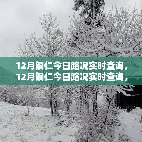 實(shí)時(shí)掌握路況信息，銅仁今日路況動態(tài)及影響分析