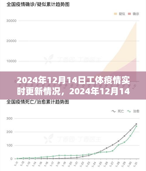 2024年12月14日工體疫情實(shí)時(shí)更新情況分析報(bào)告