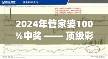 2024年管家婆100%中獎(jiǎng) —— 頂級(jí)彩票系統(tǒng)的財(cái)富秘訣