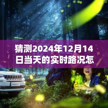 探尋無果，為何無法預(yù)測與查詢2024年12月14日的實時路況？
