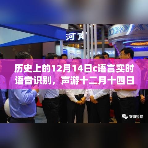 C語(yǔ)言與實(shí)時(shí)語(yǔ)音識(shí)別，聲游十二月十四日的探索之旅