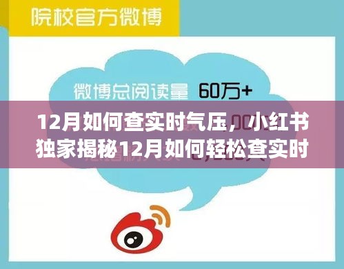 小紅書獨家揭秘，如何輕松查詢實時氣壓，從容應(yīng)對天氣變化！