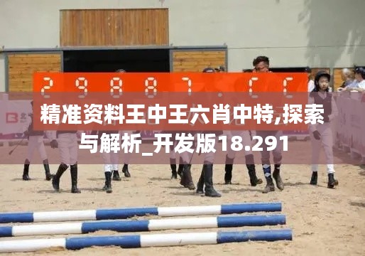 精準資料王中王六肖中特,探索與解析_開發(fā)版18.291