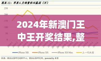 2024年新澳門王中王開獎結(jié)果,整體執(zhí)行講解_戰(zhàn)略版2.617