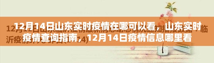 山東實時疫情查詢指南，12月14日疫情信息及查詢渠道介紹