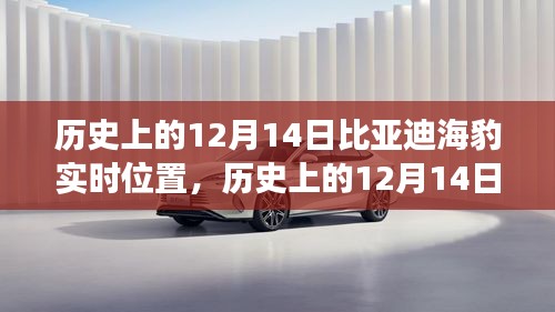 比亞迪海豹躍動之旅，在學(xué)習(xí)的海洋中乘風(fēng)破浪，塑造自信人生之路