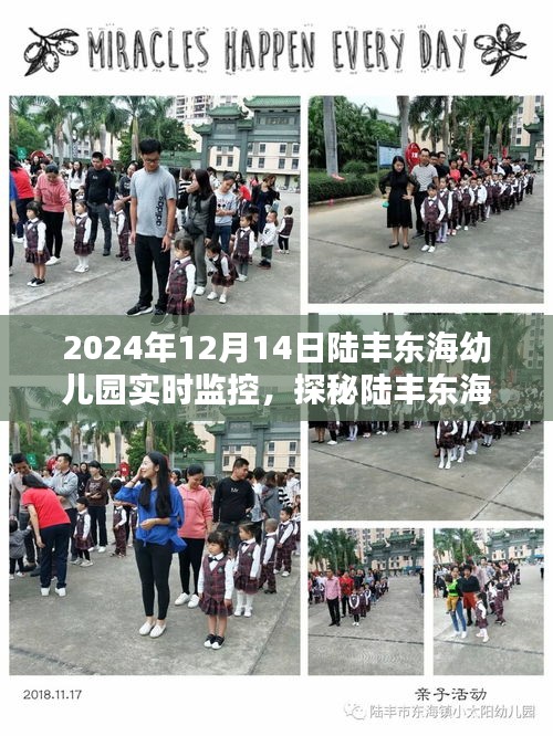 探秘陸豐東海幼兒園，小巷深處的特色樂園——實(shí)時(shí)監(jiān)控下的樂園揭秘（2024年12月14日）