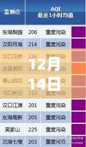 12月14日大氣壓力表實時傳輸數(shù)據(jù)與心靈之旅的寧靜力量
