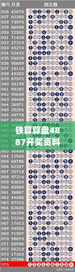 鐵算算盤(pán)4887開(kāi)獎(jiǎng)資料,高效實(shí)施方法解析_復(fù)古款3.586