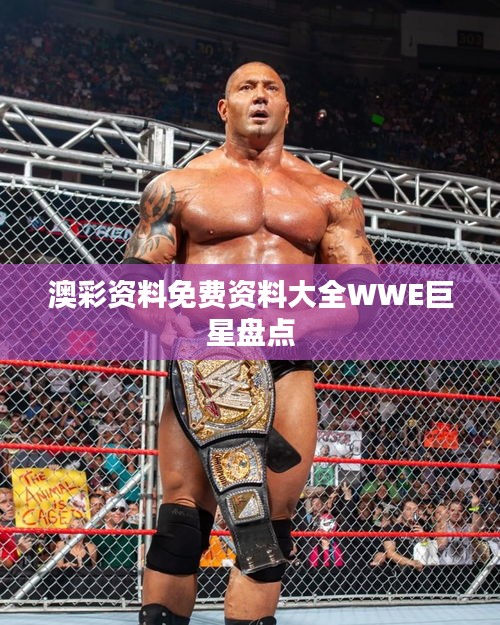 澳彩資料免費(fèi)資料大全WWE巨星盤點(diǎn)
