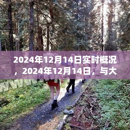 2024年12月14日實時概況，與自然共舞的日子，遠離塵囂的旅行探索之旅