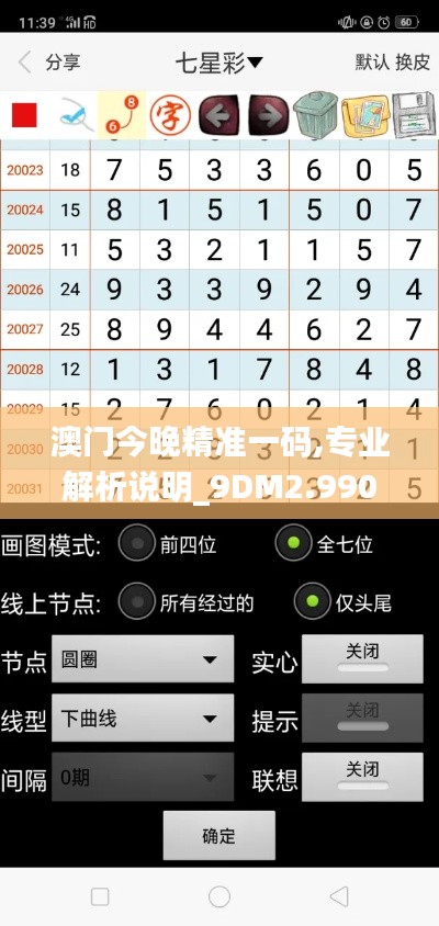 澳門今晚精準(zhǔn)一碼,專業(yè)解析說明_9DM2.990