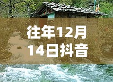 張張屈屈 第4頁