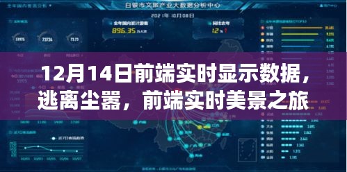 前端實時數(shù)據(jù)展示與美景之旅，探尋內(nèi)心平和的旅程