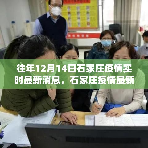 往年12月14日石家莊疫情實(shí)時(shí)更新與查詢(xún)指南，最新消息獲取指南及查詢(xún)方法解析