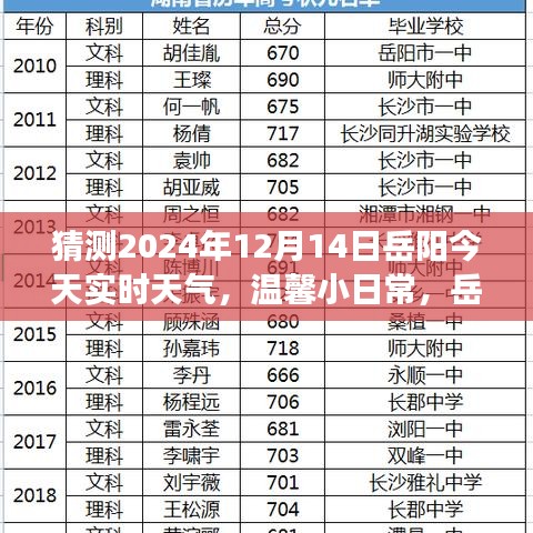 岳陽天氣預報與友情故事，溫馨日常，預測岳陽明天天氣動態(tài)