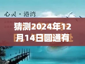 圓通之行，探索未知，內(nèi)心平靜之旅的實(shí)時(shí)預(yù)測(cè)（2024年12月14日）