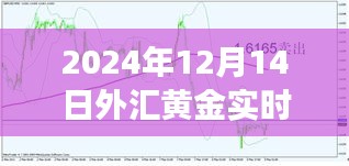 黃金市場風(fēng)云變幻，最新外匯黃金實時報道解析（2024年12月14日）