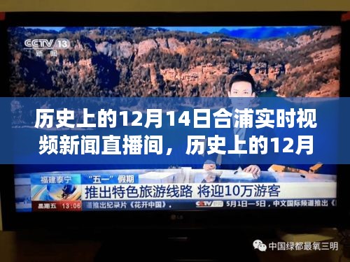 歷史上的12月14日合浦實時視頻新聞直播間，全面評測與詳細介紹