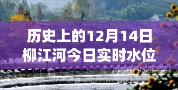大雅君子 第4頁