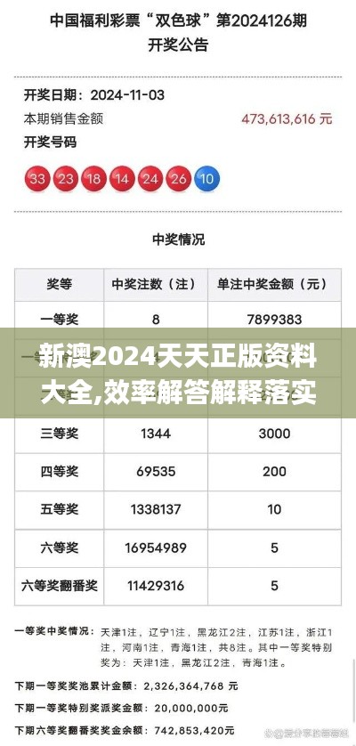 新澳2024天天正版資料大全,效率解答解釋落實(shí)_限定版7.789
