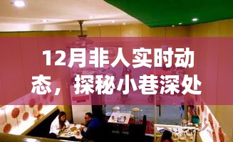 探秘十二月非人實(shí)時(shí)動(dòng)態(tài)館，小巷深處的特色小店等你來發(fā)現(xiàn)！