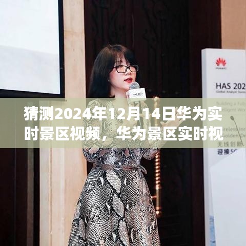 華為未來(lái)景區(qū)實(shí)時(shí)視頻，學(xué)習(xí)之旅的預(yù)見(jiàn)與成就感的源泉