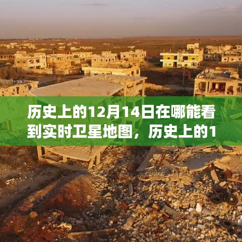 鳥革翬飛 第3頁
