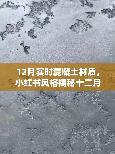 小紅書(shū)風(fēng)格揭秘，十二月實(shí)時(shí)混凝土材質(zhì)的獨(dú)特魅力與風(fēng)格展示
