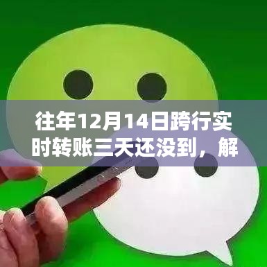 解決跨行實(shí)時(shí)轉(zhuǎn)賬延遲問(wèn)題，12月14日轉(zhuǎn)賬三天未到賬解決步驟指南（適用于初學(xué)者與進(jìn)階用戶）