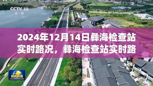 彝海檢查站實(shí)時(shí)路況分析與交通動(dòng)態(tài)探析，2024年12月14日報(bào)告