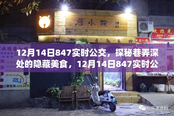 探秘巷弄深處的隱藏美食，特色小店與實(shí)時(shí)公交847的相遇（12月14日）