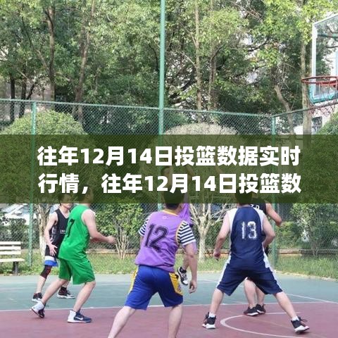 籃球賽事數(shù)據(jù)解析，往年12月14日投籃數(shù)據(jù)實(shí)時(shí)行情回顧與解讀