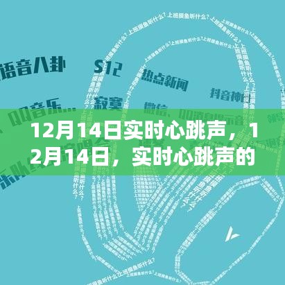 12月14日實時心跳聲，科學探索與體驗之旅