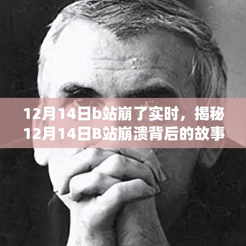 揭秘B站崩潰背后的故事，深度解析與實(shí)時(shí)洞察（12月14日）