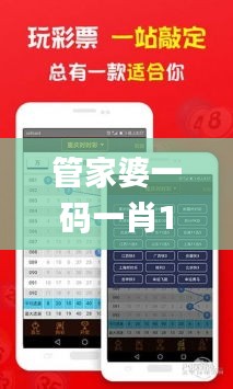 管家婆一碼一肖100中獎,定量分析解釋定義_QHD8.792