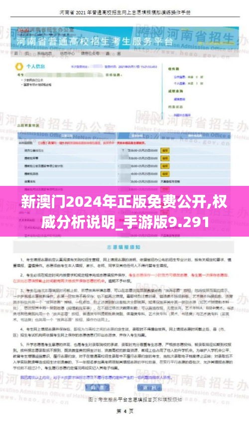 新澳門2024年正版免費公開,權(quán)威分析說明_手游版9.291