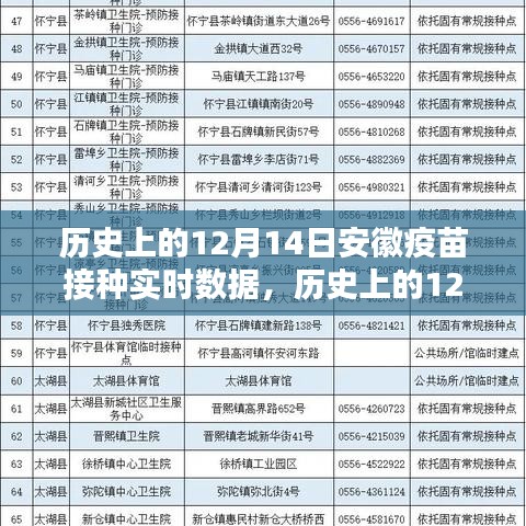 安徽疫苗接種實(shí)時(shí)數(shù)據(jù)深度評(píng)測(cè)，歷史上的12月14日回顧分析