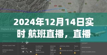 跨越千里相伴之旅，航班直播下的溫馨飛行日
