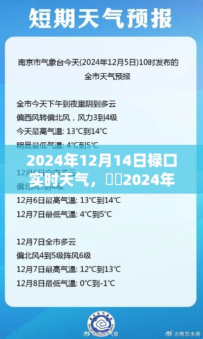 祿口小鎮(zhèn)冬至?xí)r節(jié)實(shí)時(shí)天氣記錄（2024年12月14日）