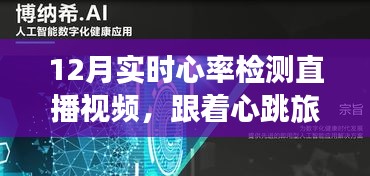心跳與自然的交響，12月實時心率檢測直播視頻之旅