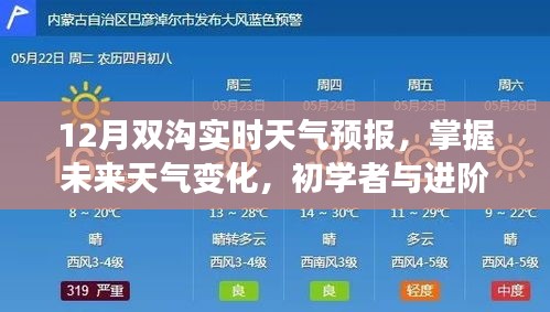 初學者與進階用戶必備，掌握未來天氣變化的12月雙溝實時天氣預報指南