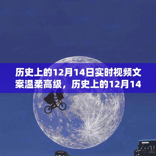 歷史上的12月14日，深度解析與溫柔高級(jí)文案評(píng)測(cè)回顧