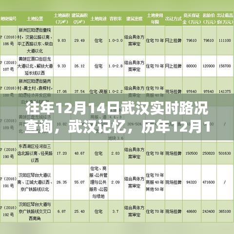 歷年12月14日武漢實(shí)時(shí)路況深度解析與武漢記憶回顧